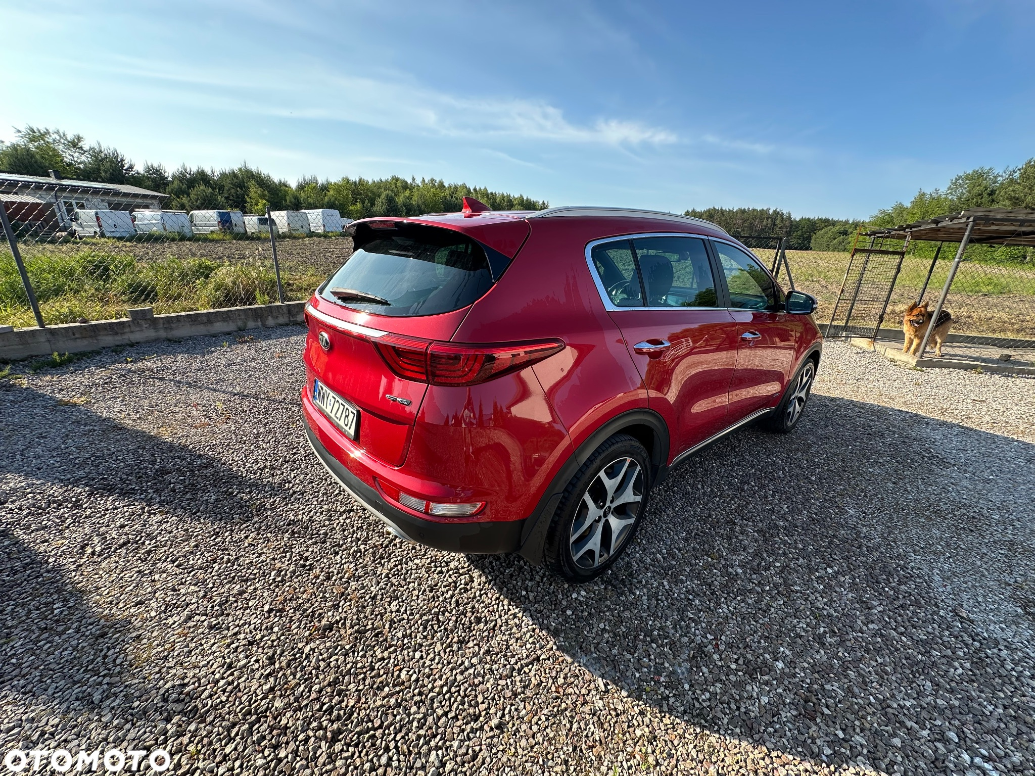 Kia Sportage 1.6 T-GDI GT Line 4WD DCT - 5