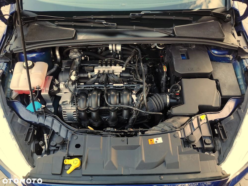 Ford Focus 1.6 FF Titanium - 21