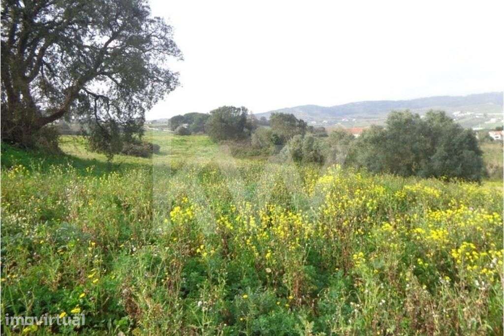 Terreno para Venda em Arruda dos Vinhos - Grande imagem: 3/13