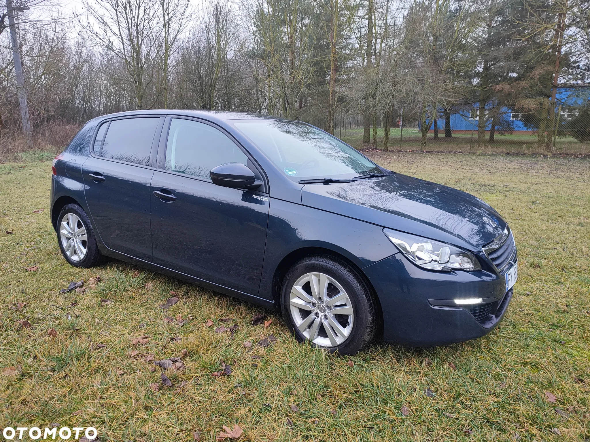 Peugeot 308 1.2 PureTech Access EU6 - 6