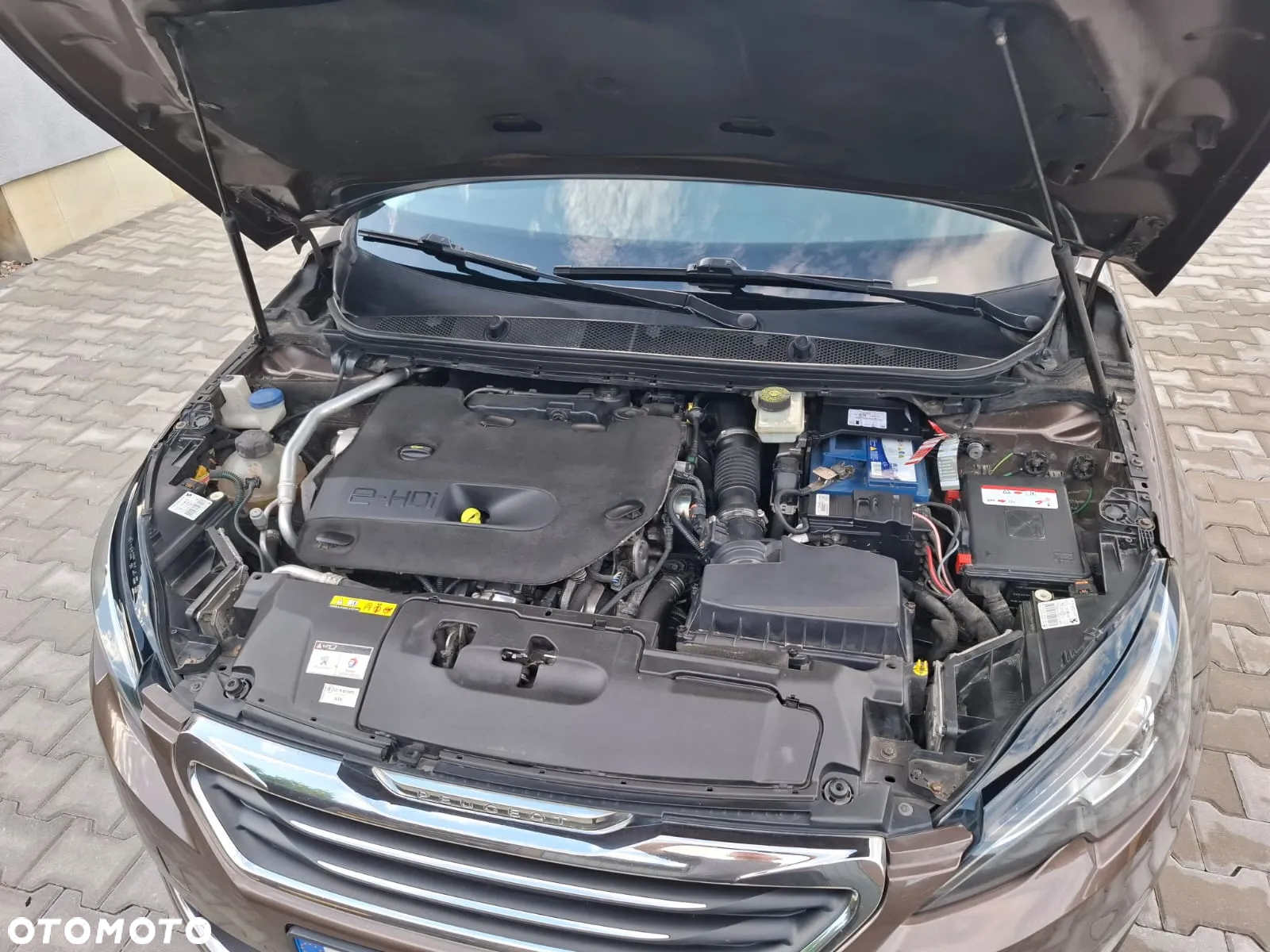 Peugeot 308 - 17