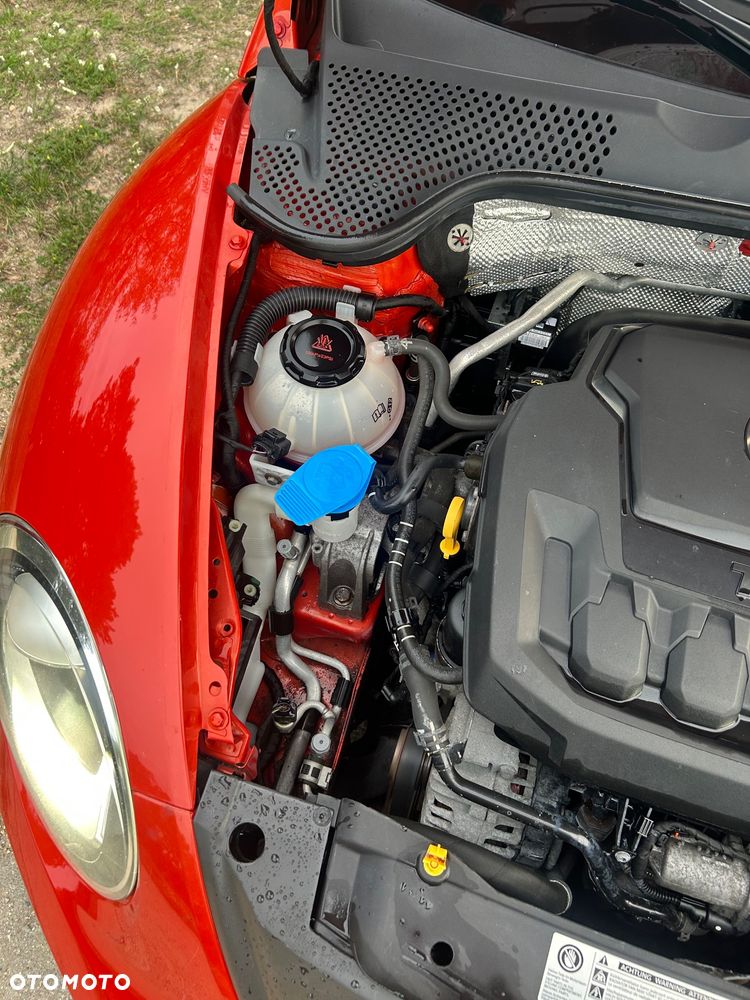 Volkswagen Beetle - 8