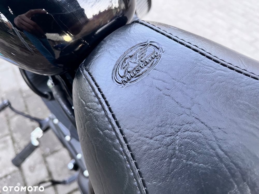 Harley-Davidson Sportster Iron 1200 - 10