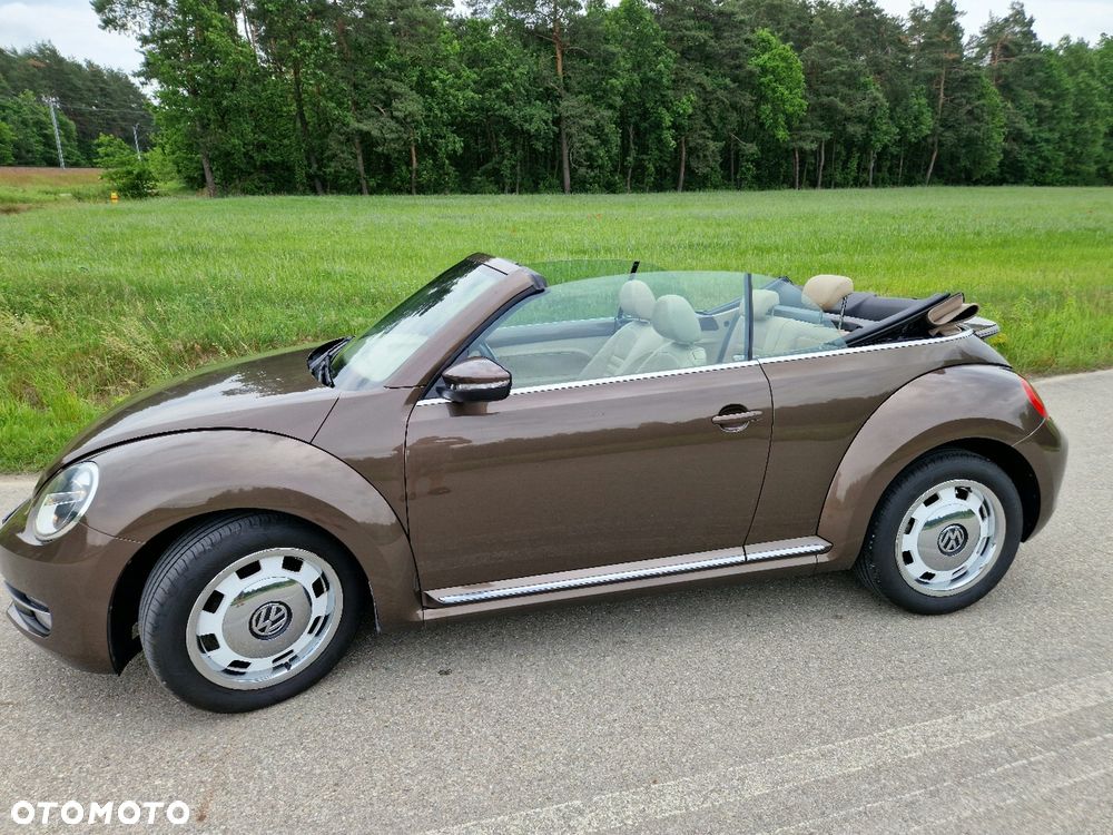 Volkswagen Beetle - 6
