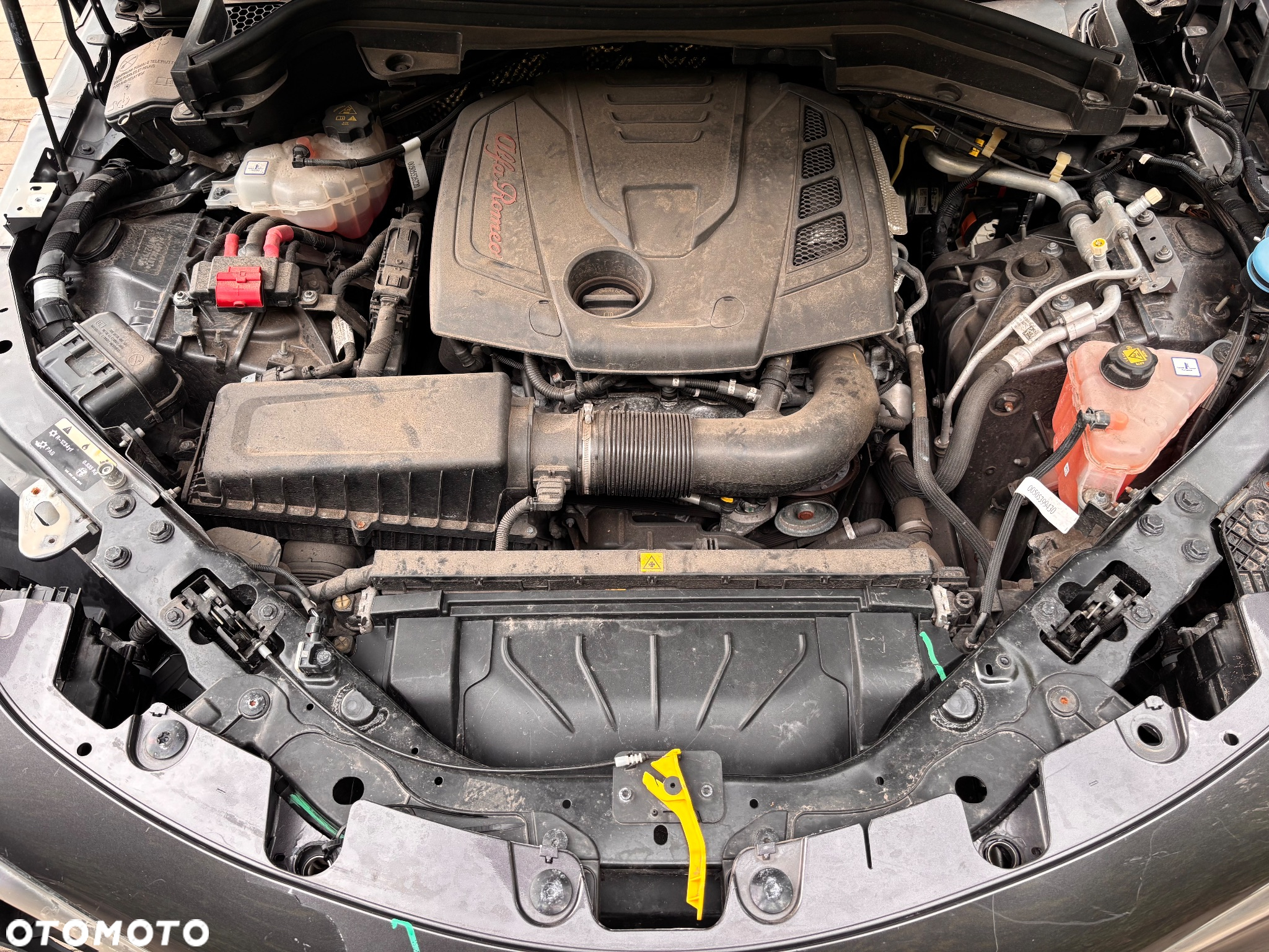 Alfa Romeo Stelvio 2.0 Turbo Veloce Q4 - 13