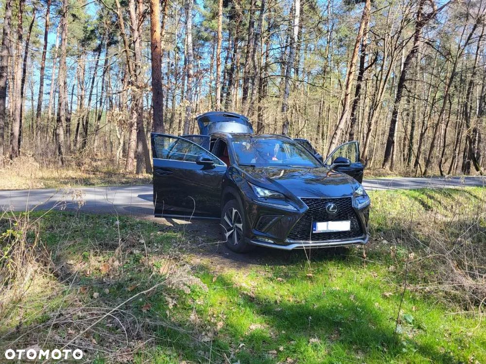 Lexus NX 300 GPF F Sport Edition AWD - 9
