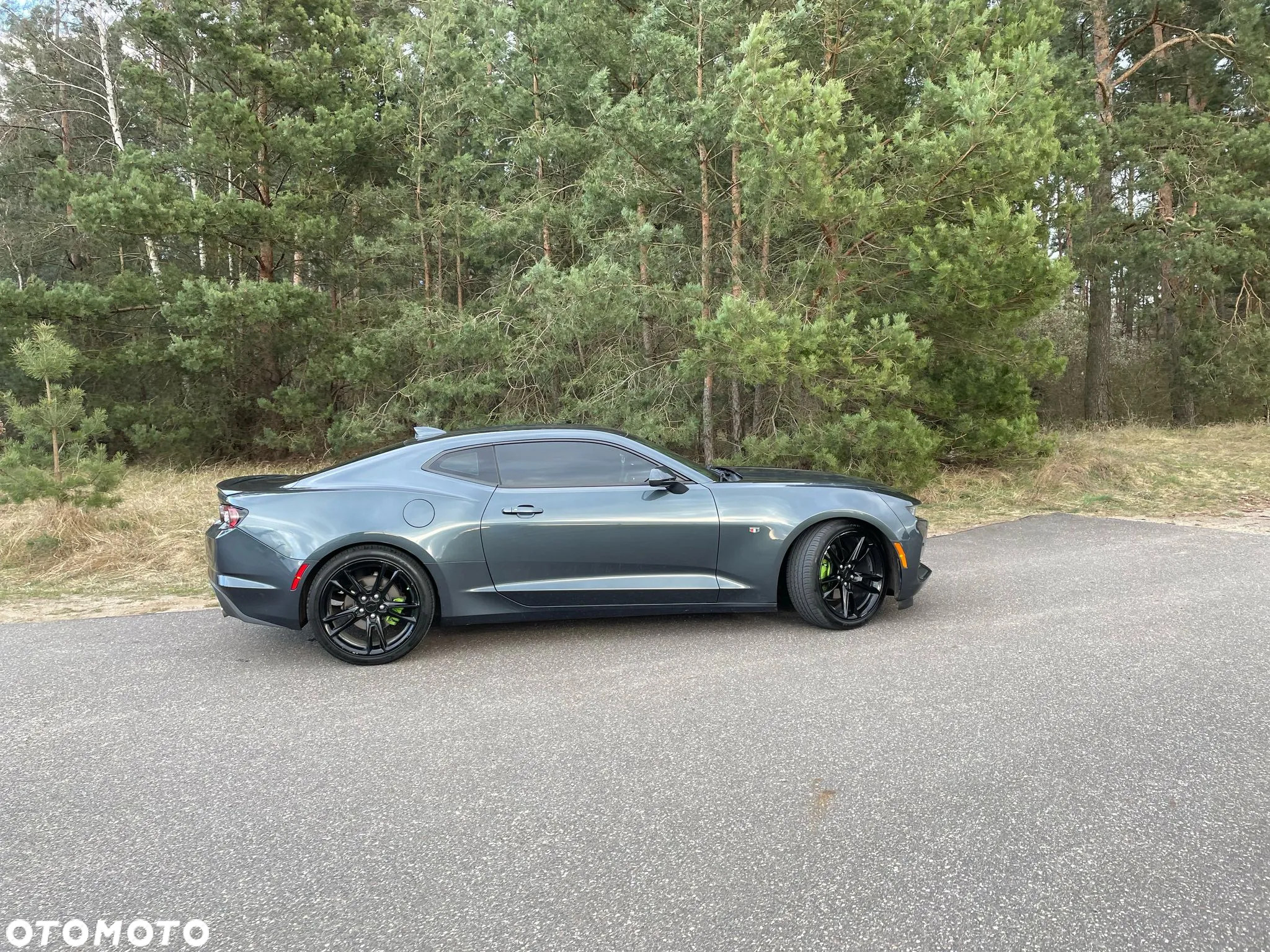 Chevrolet Camaro - 21