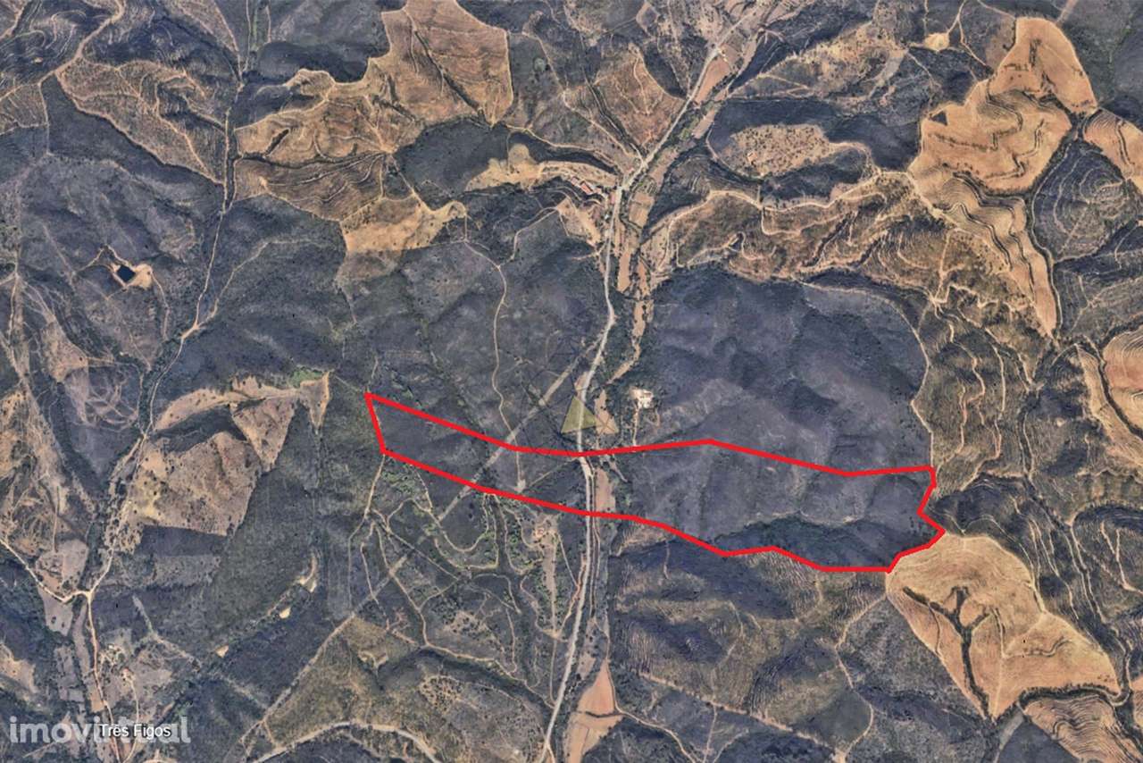 Terreno de 27 Hectares nas Romeiras, Marmelete, Monchique - Grande imagem: 3/28