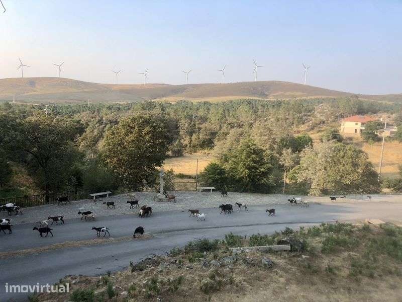 Andar moradia na Serra da Arada, animais de estimacao benvindos ! - Grande imagem: 3/5