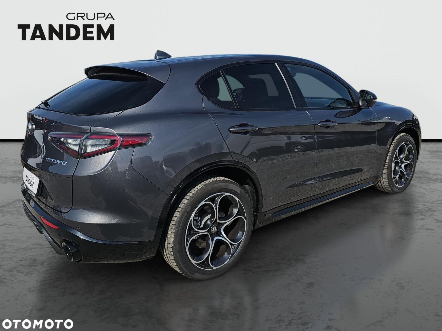 Alfa Romeo Stelvio 2.0 Turbo Veloce Q4 - 5