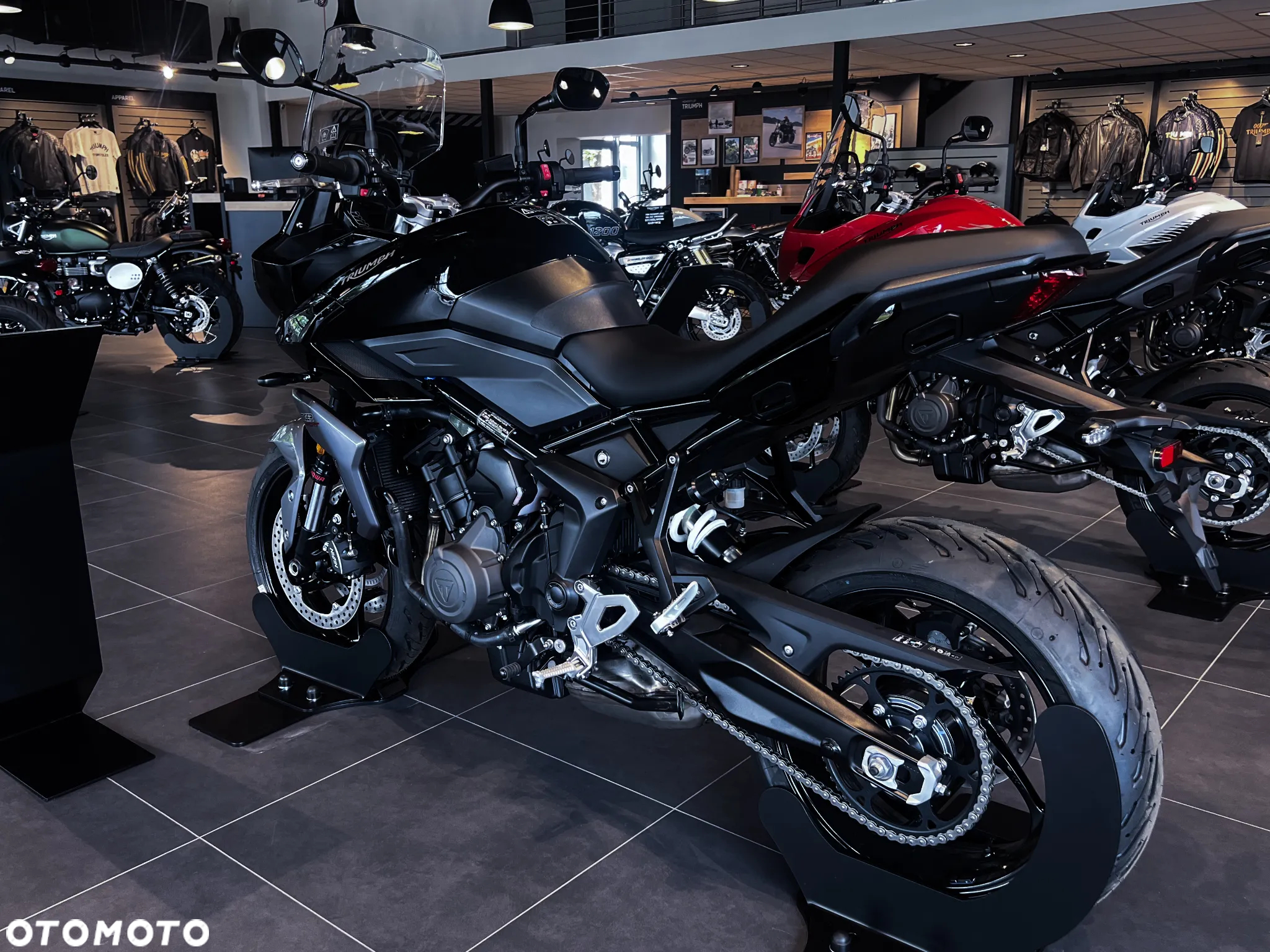 Triumph Tiger - 5