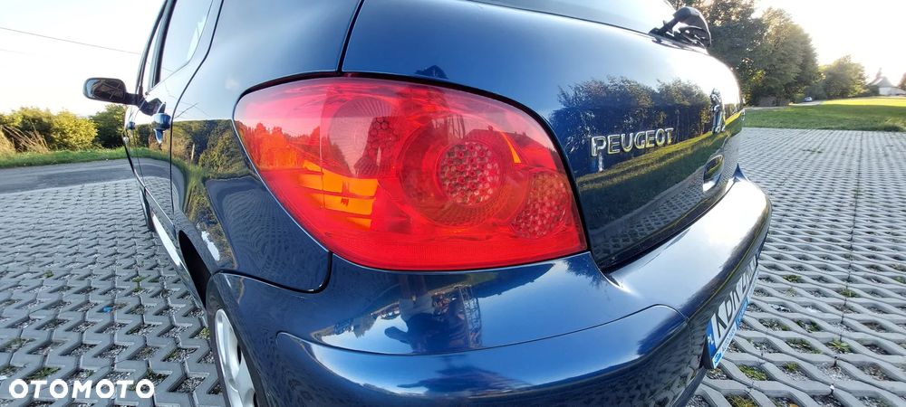 Peugeot 307 1.6 - 11