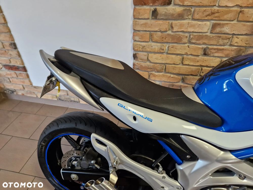 Suzuki Gladius - 14