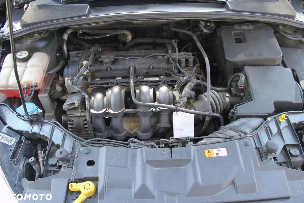 Ford Focus - 23