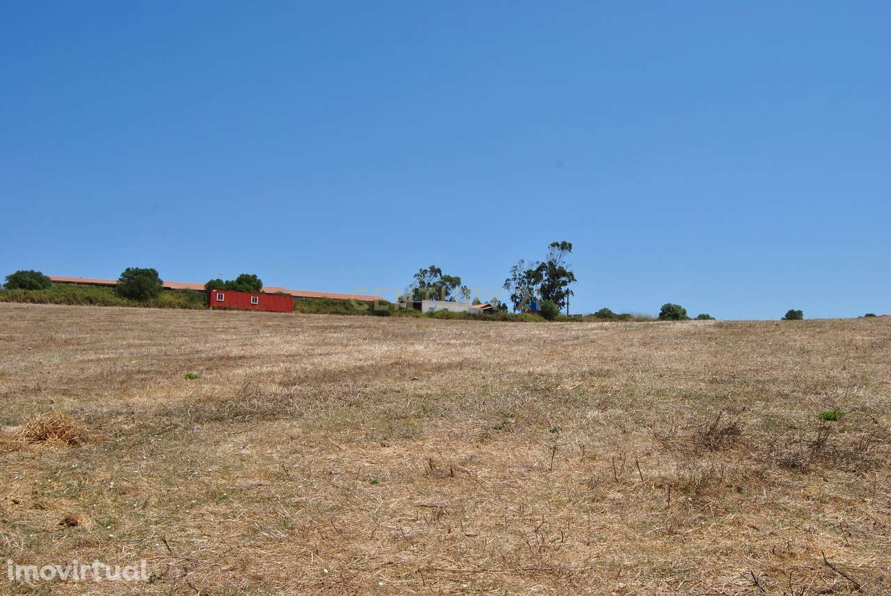 Terreno para construção em Avessada - Sto Estevão das Galés - Grande imagem: 2/18
