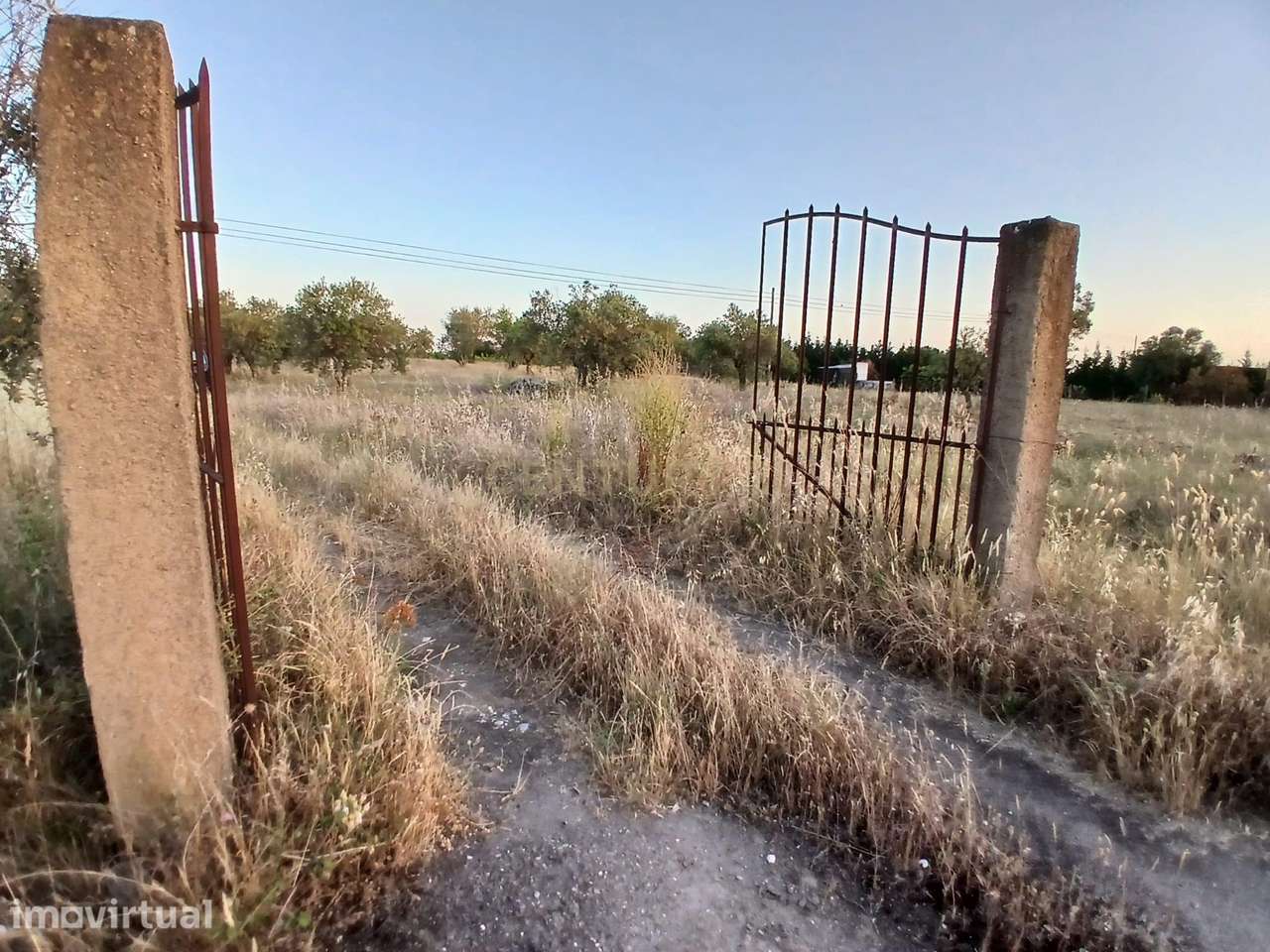 Terreno situado junto à estrada que liga Corval e Reguengos de Monsara - Grande imagem: 2/13