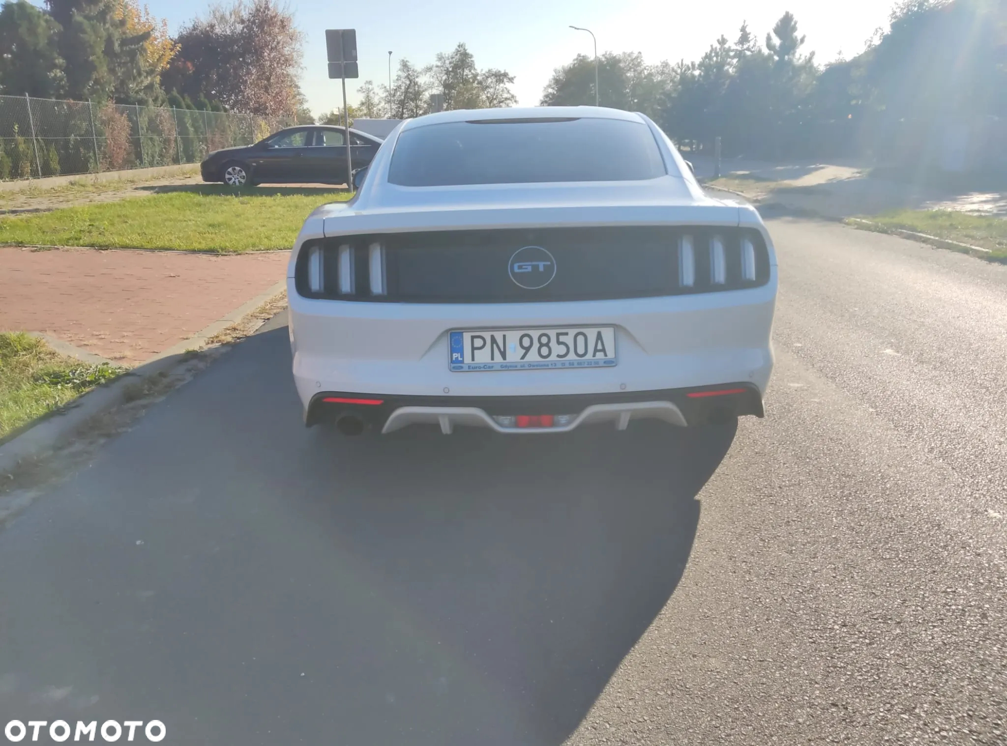 Ford Mustang 5.0 V8 GT - 10