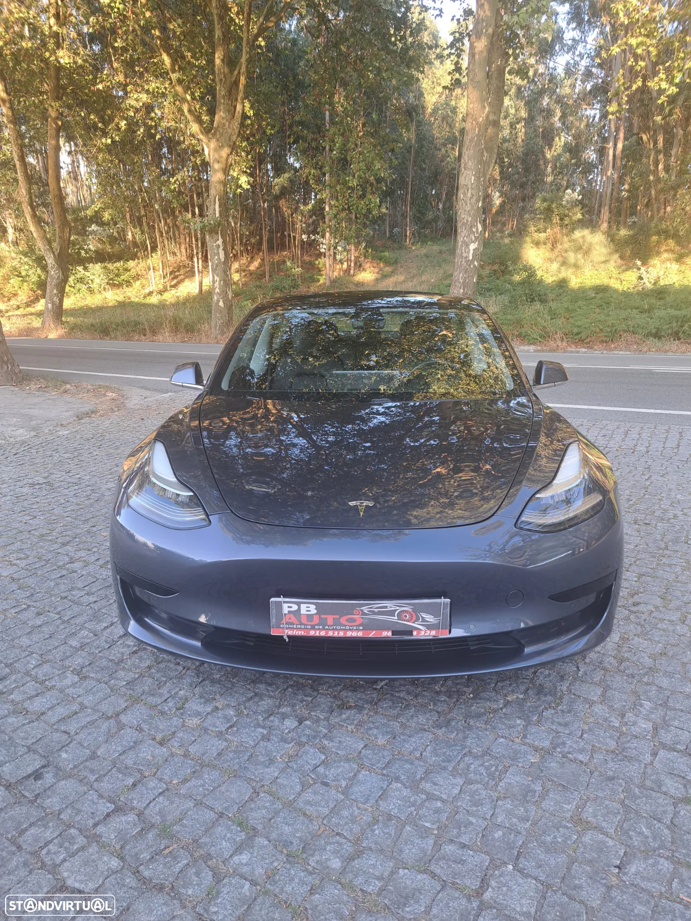 Tesla Model 3 Standard Range Plus RWD - 2