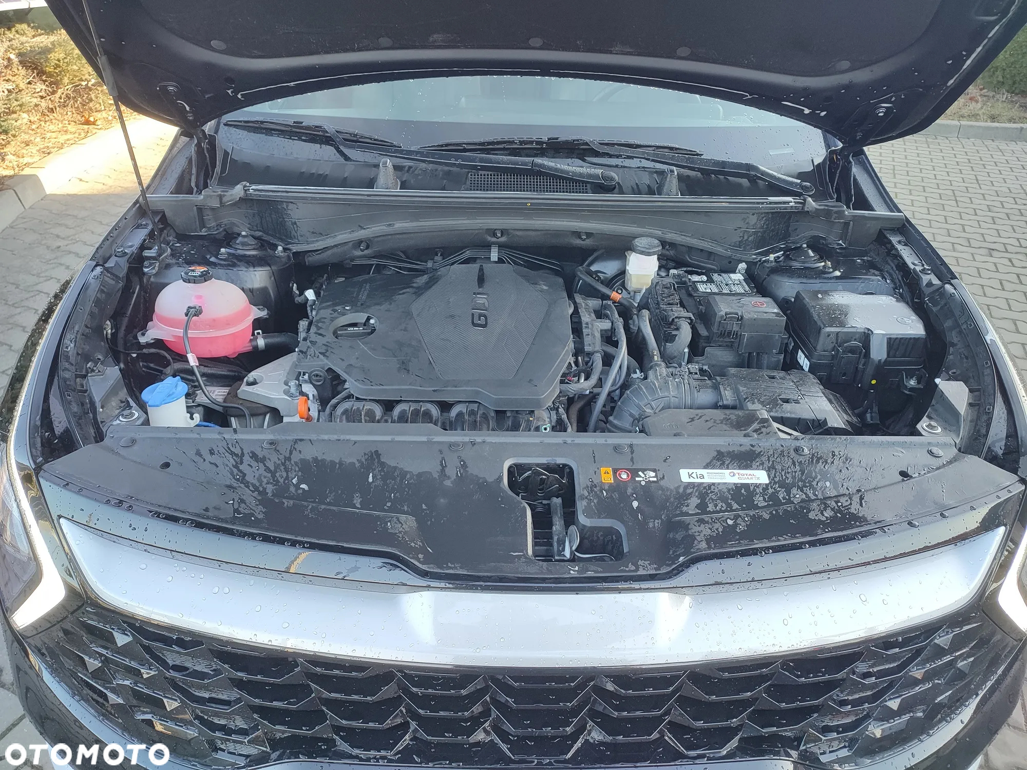 Kia Sportage - 31