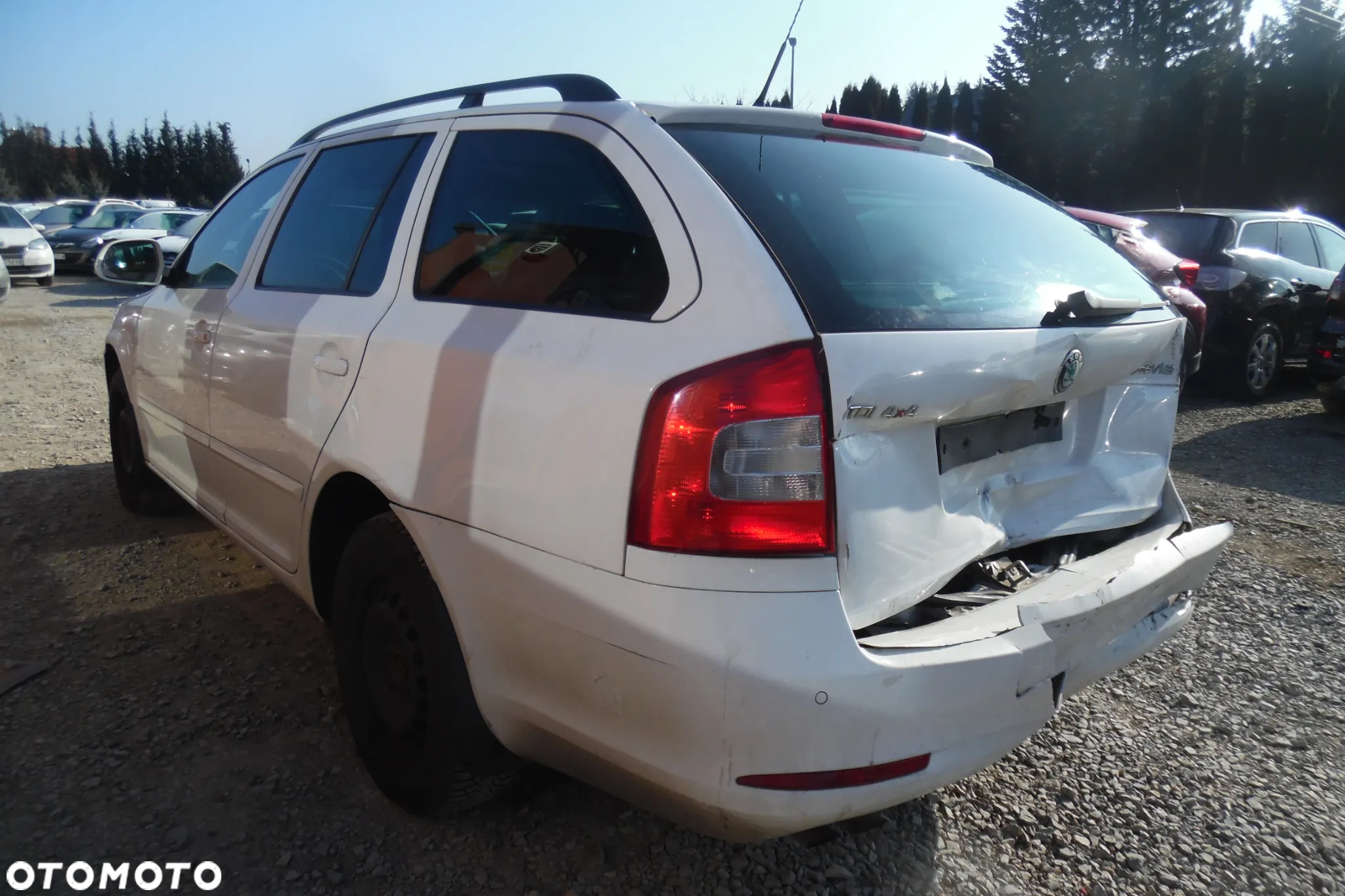 Skoda Octavia 1.6 TDI 4x4 Elegance - 3