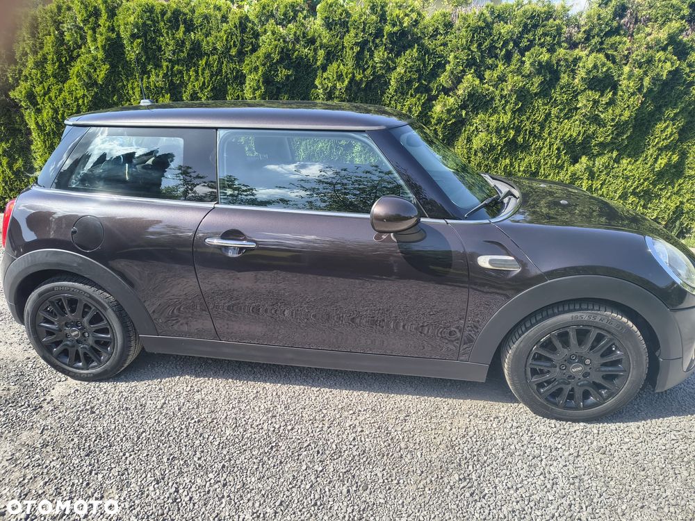 MINI ONE Blackyard - 2