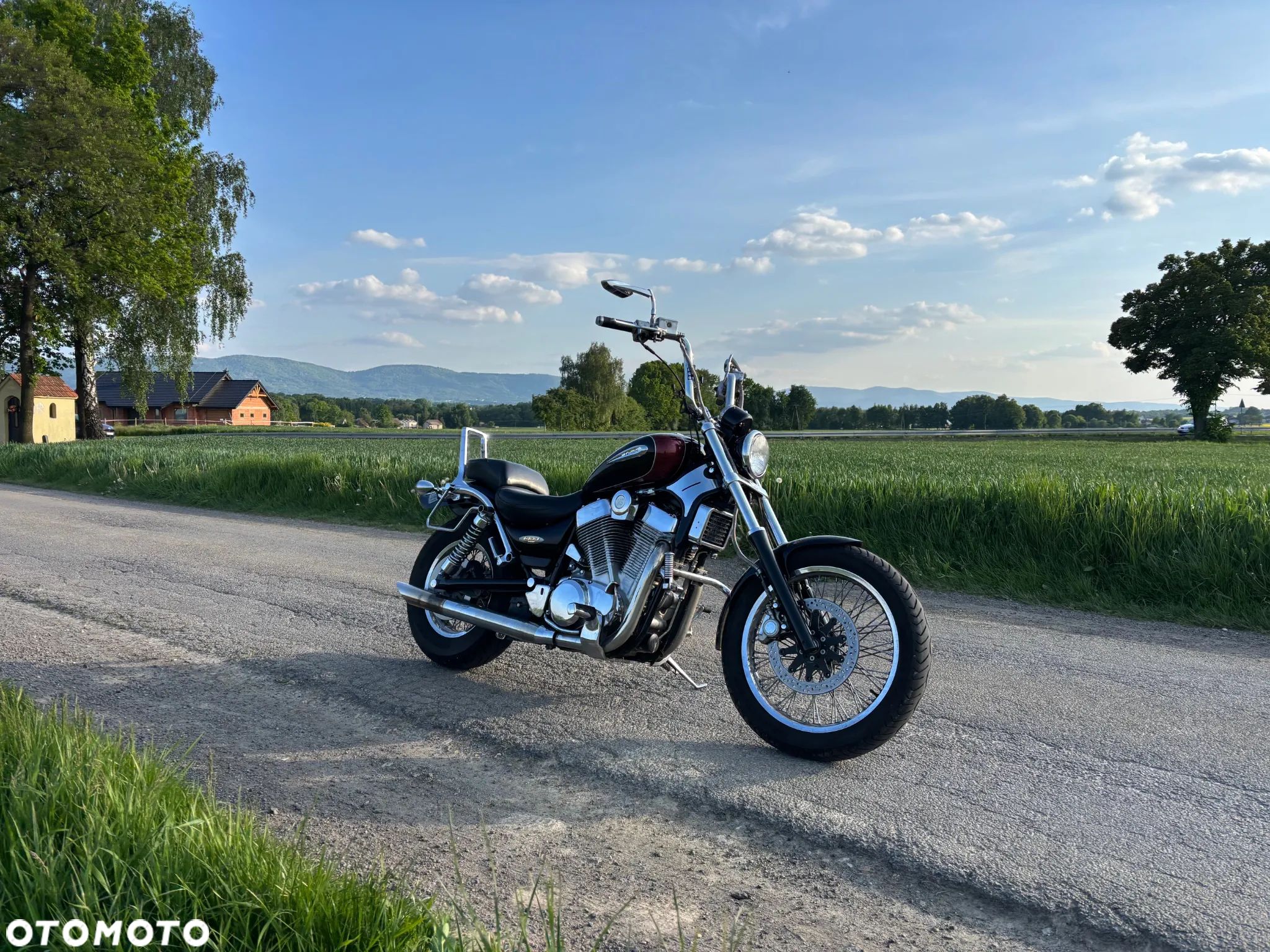 Suzuki VS - 1