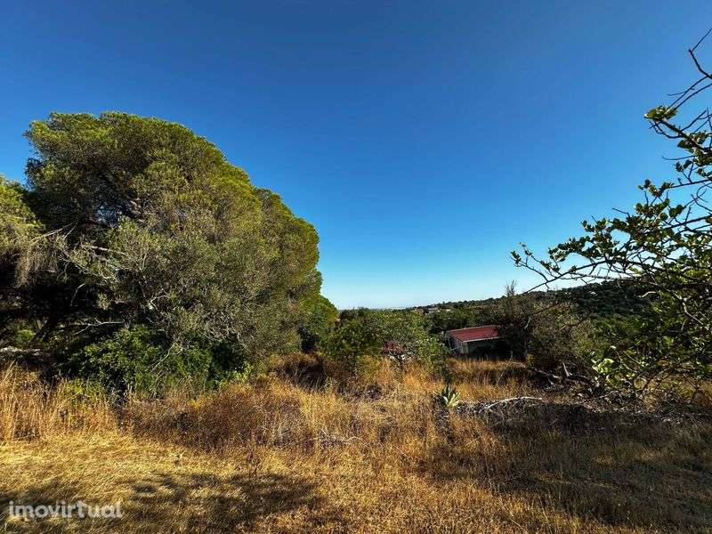 Terreno Rustico em Boliqueime, Ribeiro - Grande imagem: 3/12