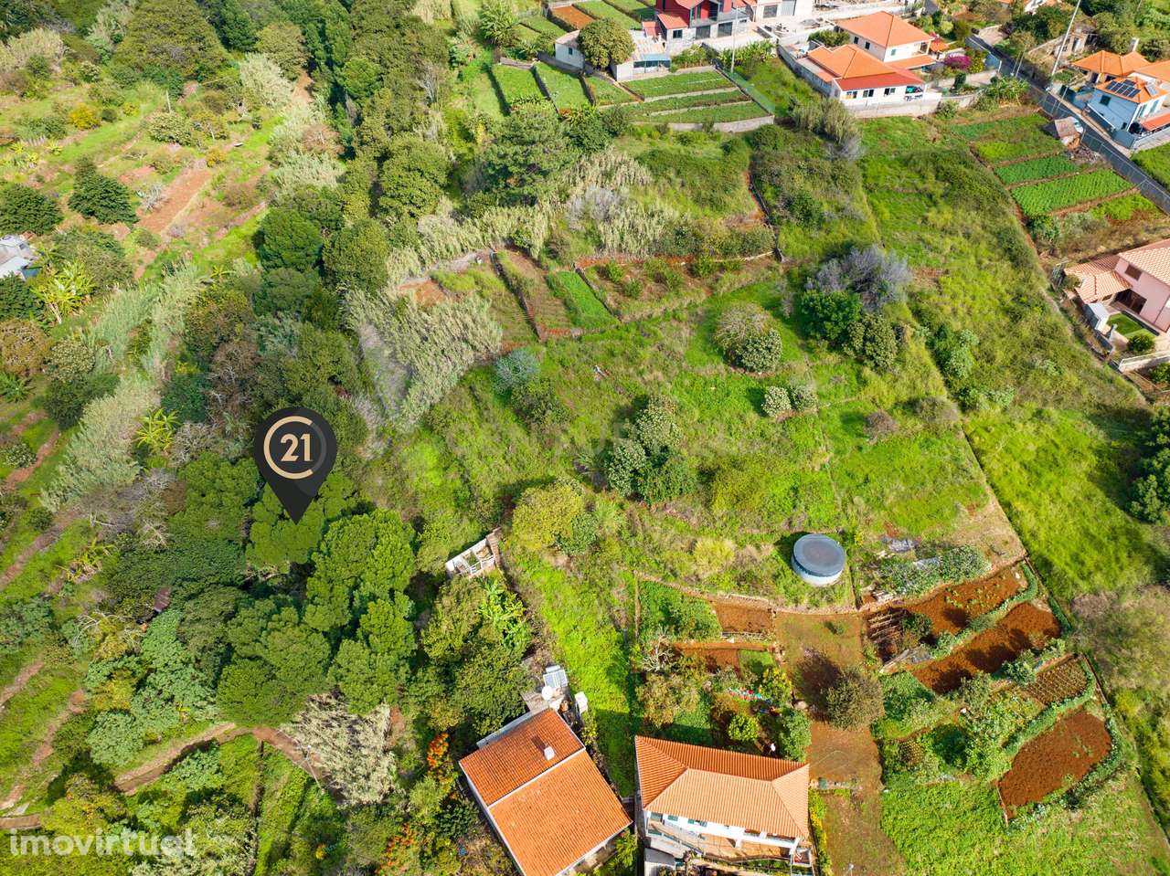 Terreno Rústico Agroflorestal de 730 m2 - Santa Cruz, Madeira - Grande imagem: 3/16