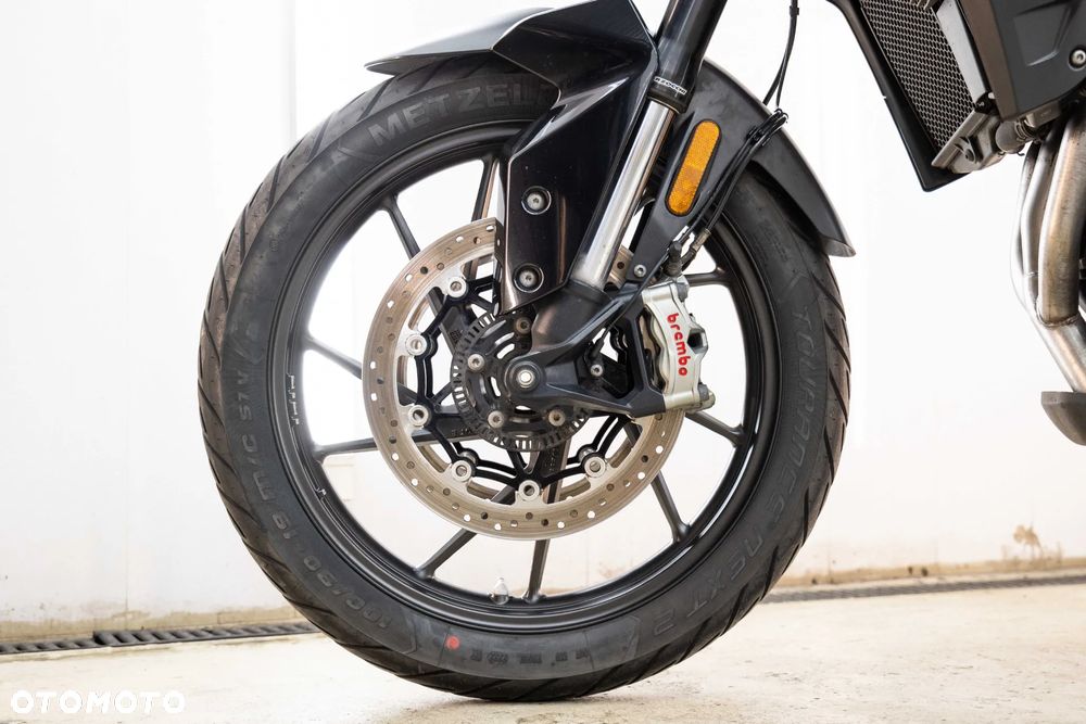 Triumph Tiger - 31