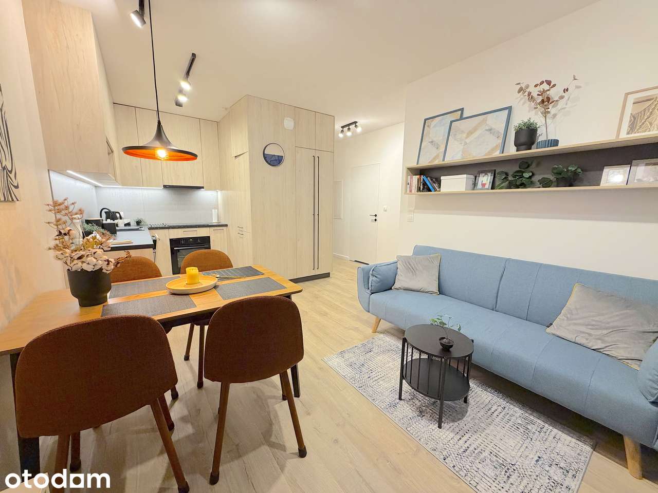 BEZ PROWIZJI - nowoczesny apartament, garaż, komórka lokatorska