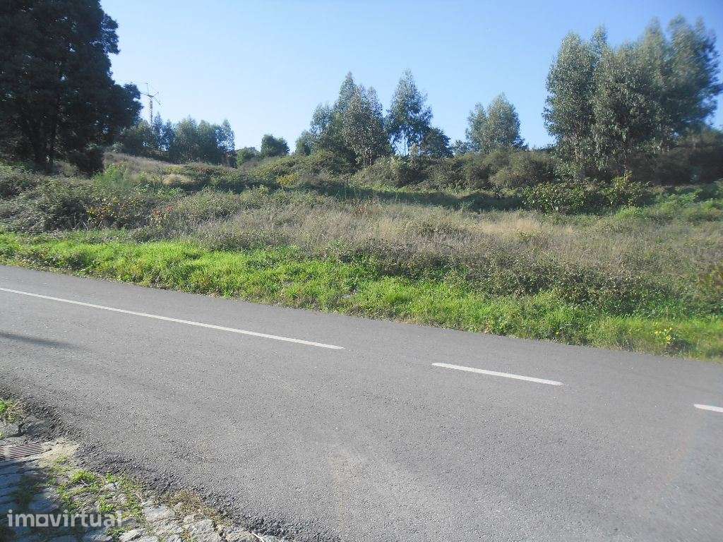 Terreno para Construção - Amarante ( Figueiró) - Grande imagem: 2/9