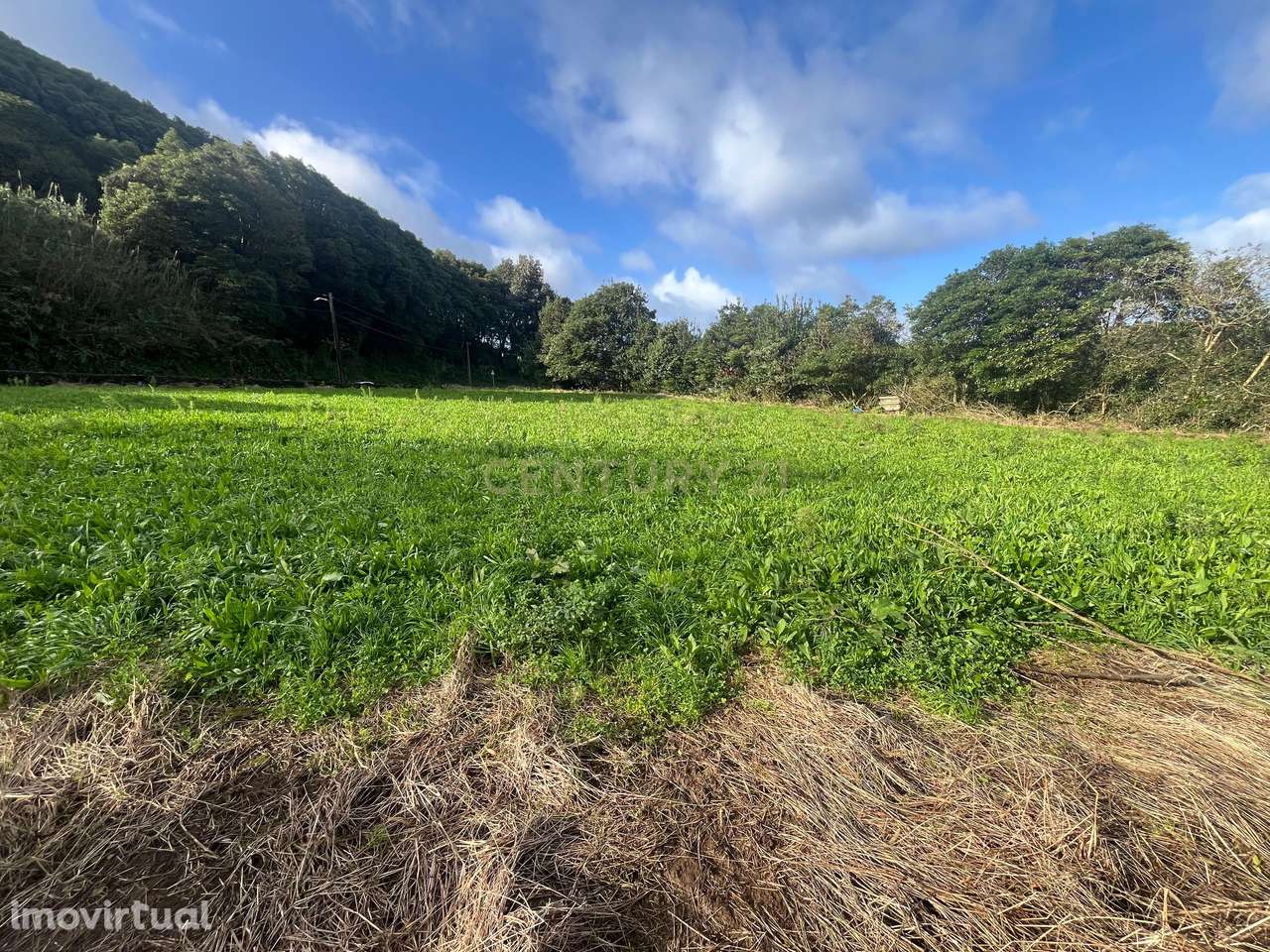 Terreno para construção - Grande imagem: 4/4