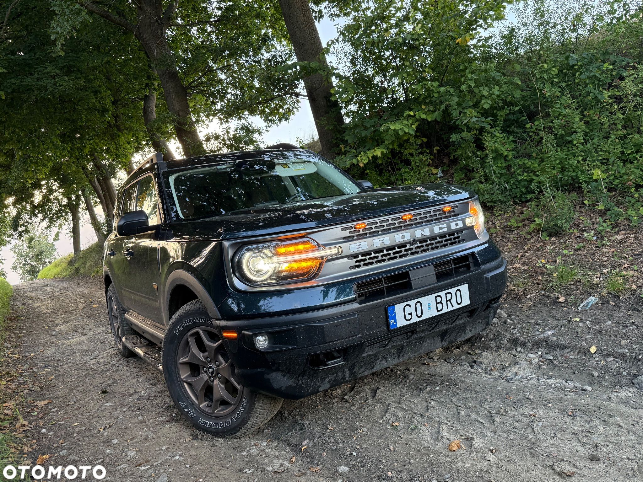 Ford Inny - 1