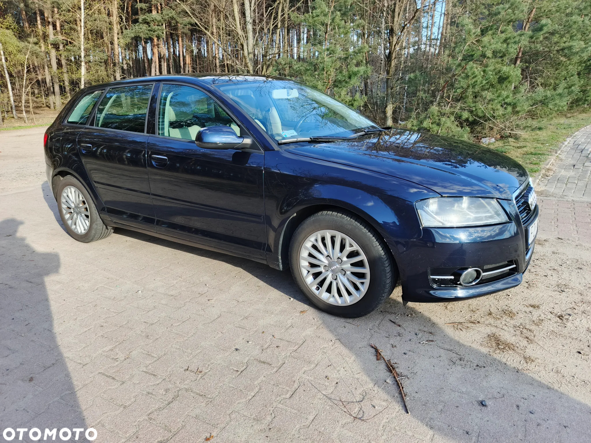 Audi A3 2.0 TDI DPF Quattro Ambition - 10