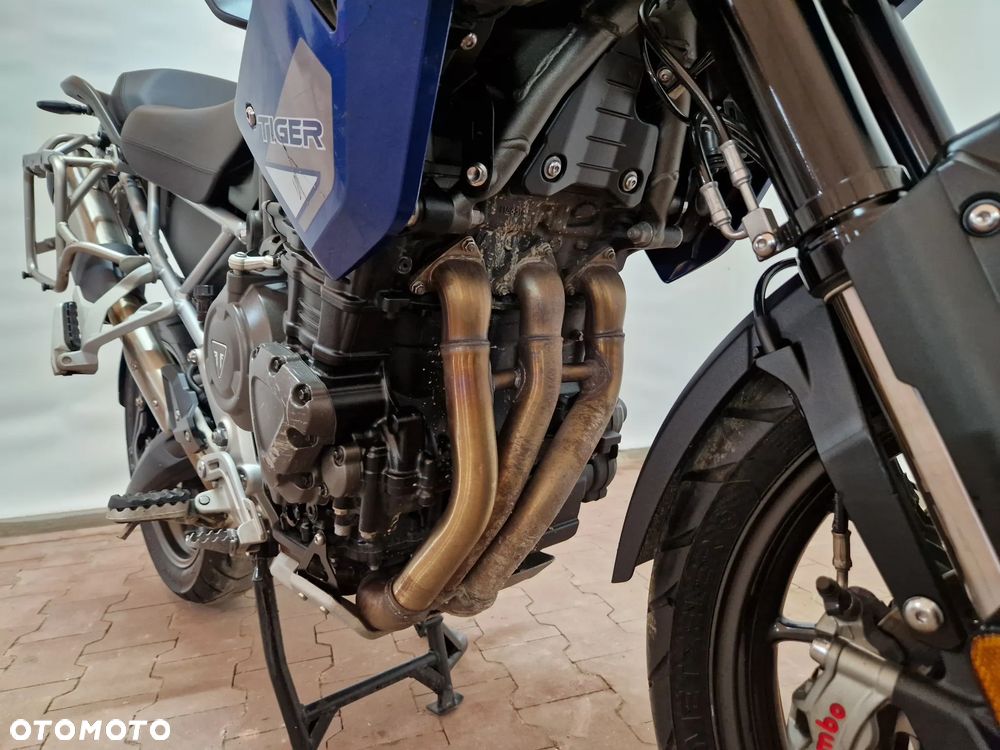 Triumph Tiger - 13