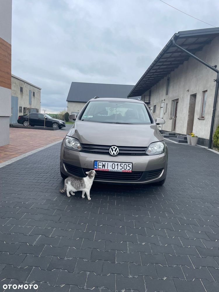 Volkswagen Golf Plus - 1