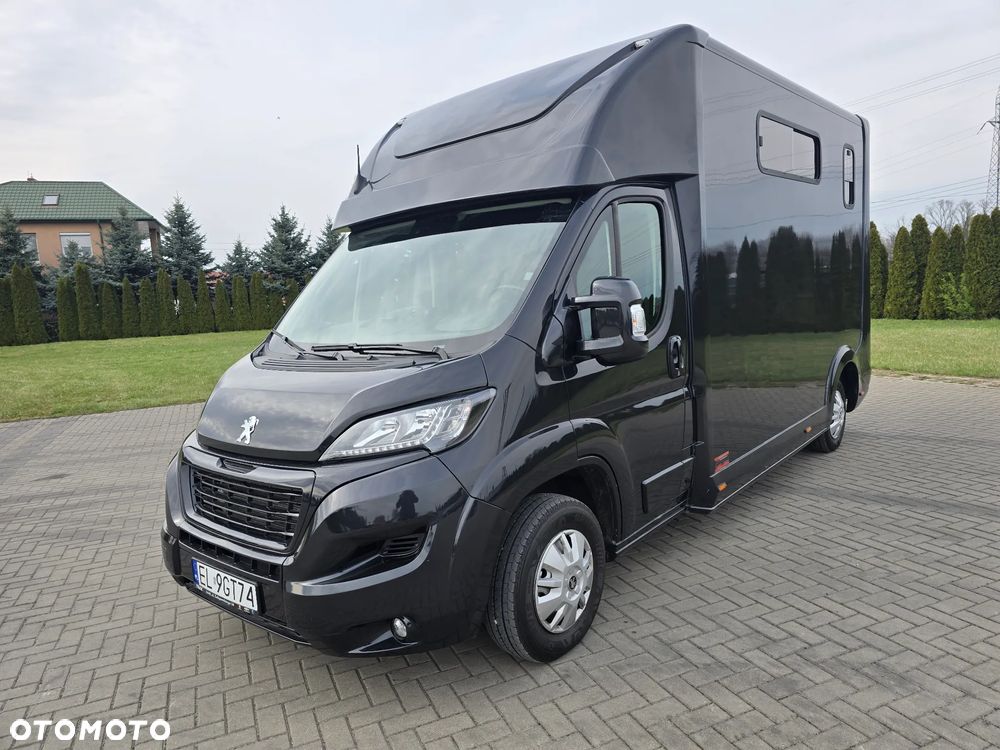 Peugeot Boxer-Koniowóz - 8