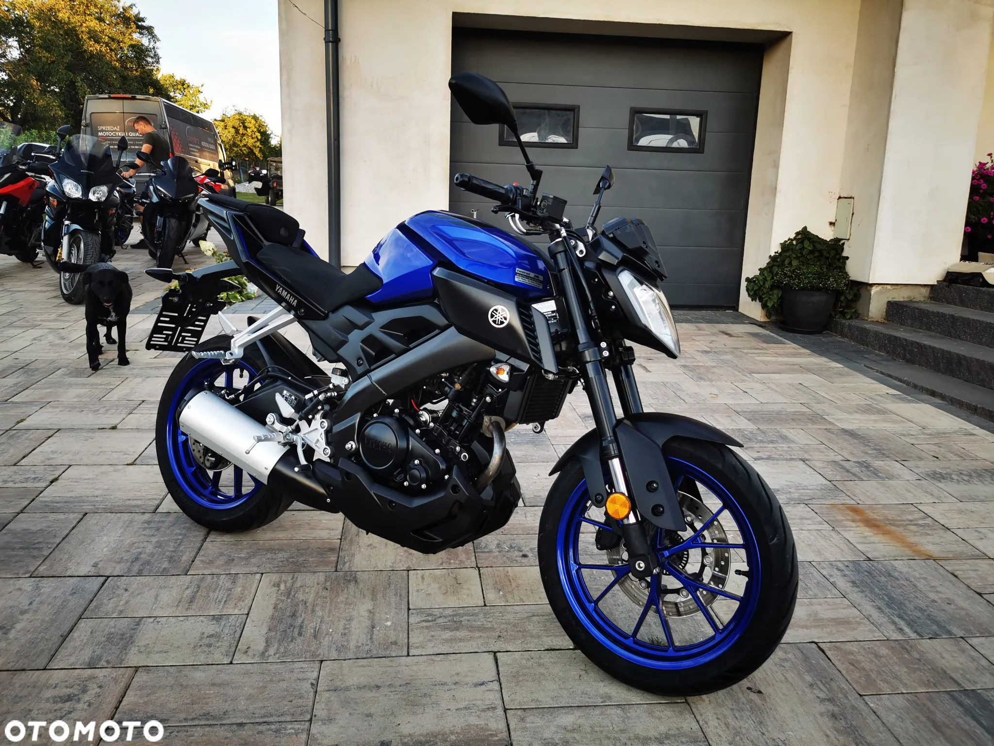 Yamaha MT - 29