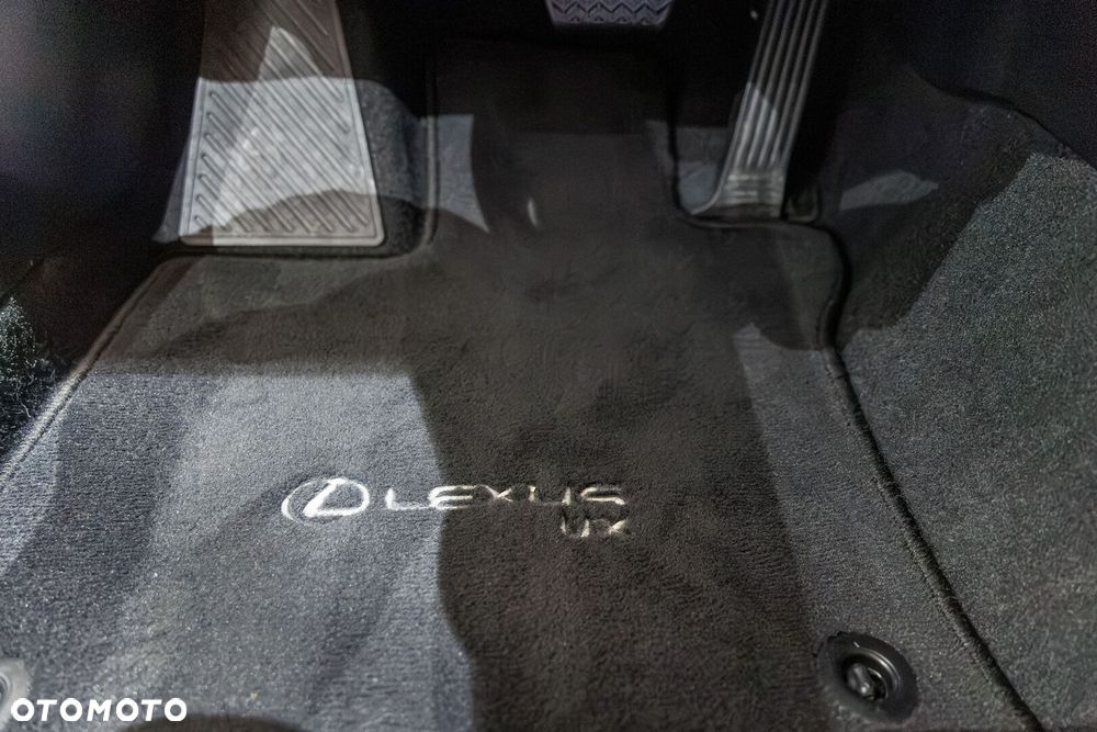 Lexus UX 300h F Sport Design - 31