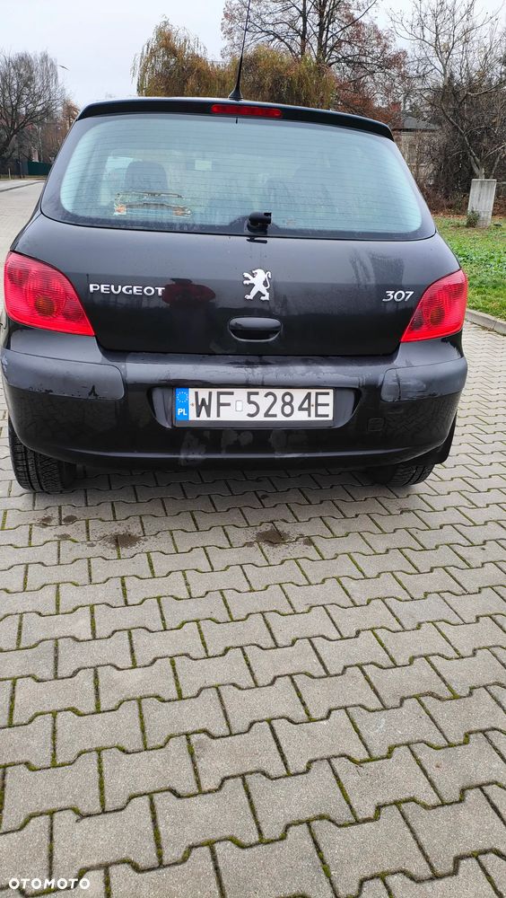 Peugeot 307 1.6 XS - 3