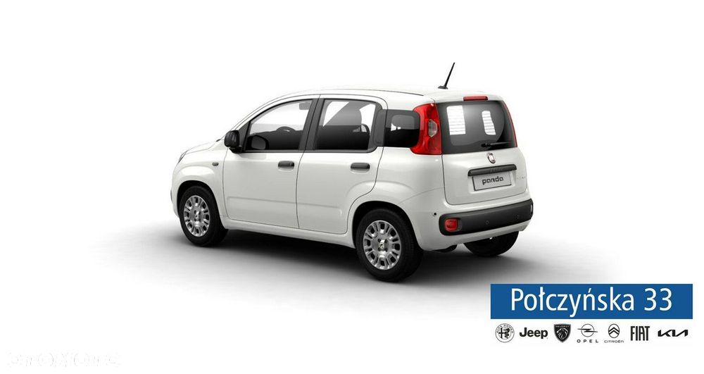 Fiat Panda - 2