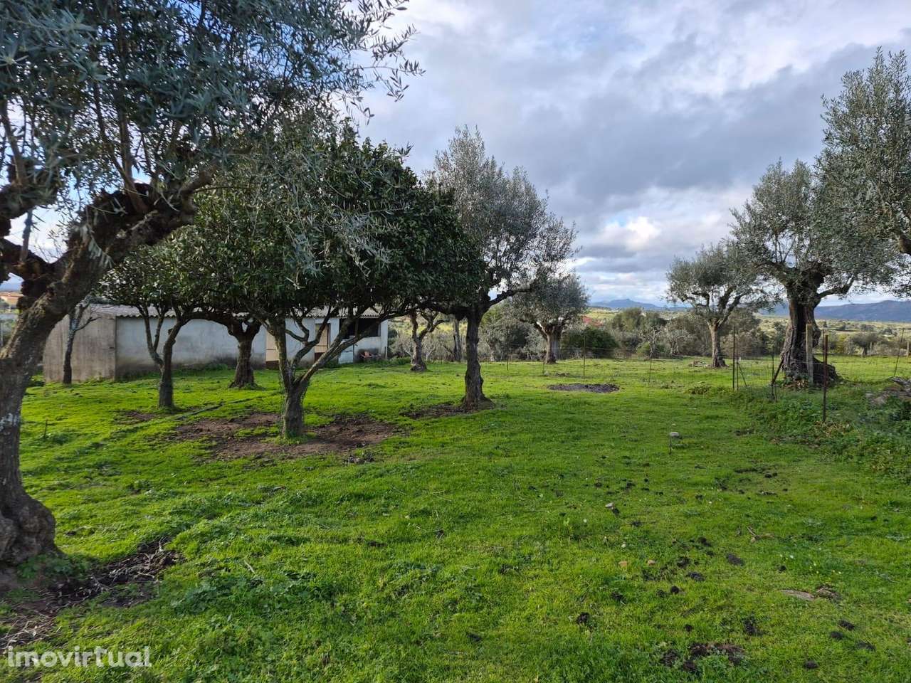 Quinta - Grande imagem: 2/15