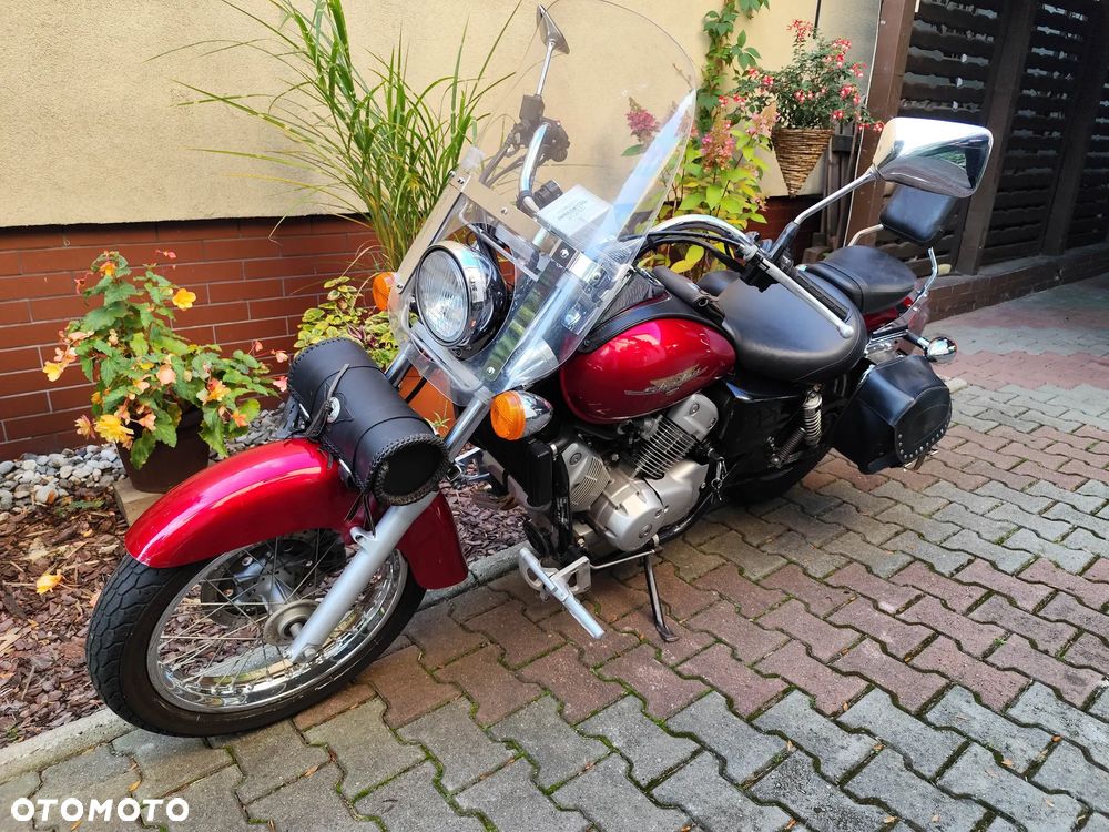 Honda Shadow - 13