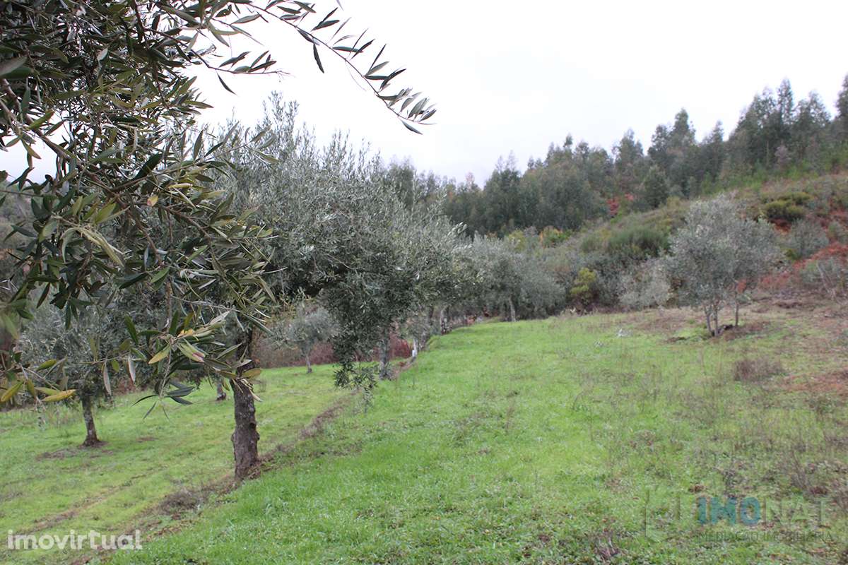 Terreno - Grande imagem: 5/29