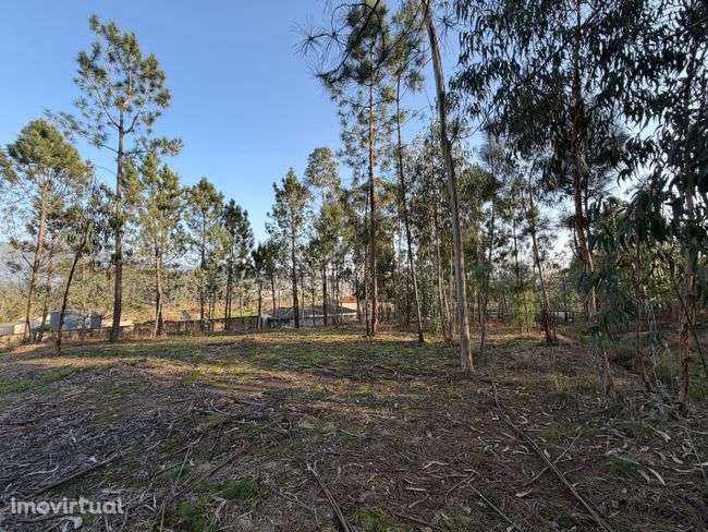 Terreno - Fiscal, Amares - Grande imagem: 4/7