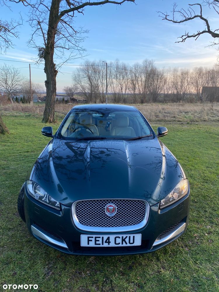 Jaguar XF 2.2 D Luxury - 6