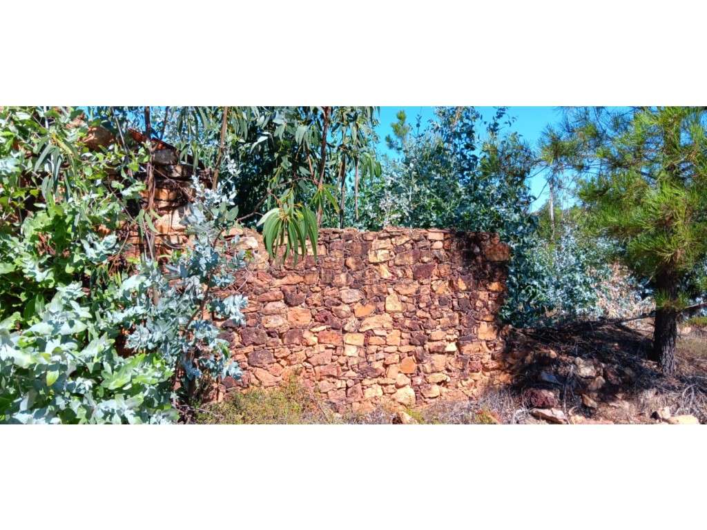 Terreno Agrícola/Florestal com construção rural a 10 Km da vila de ... - Grande imagem: 4/29