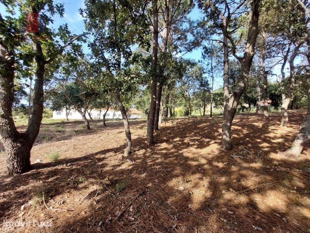 Terreno tipo quintinha, Caldas da Rainha - Grande imagem: 2/13