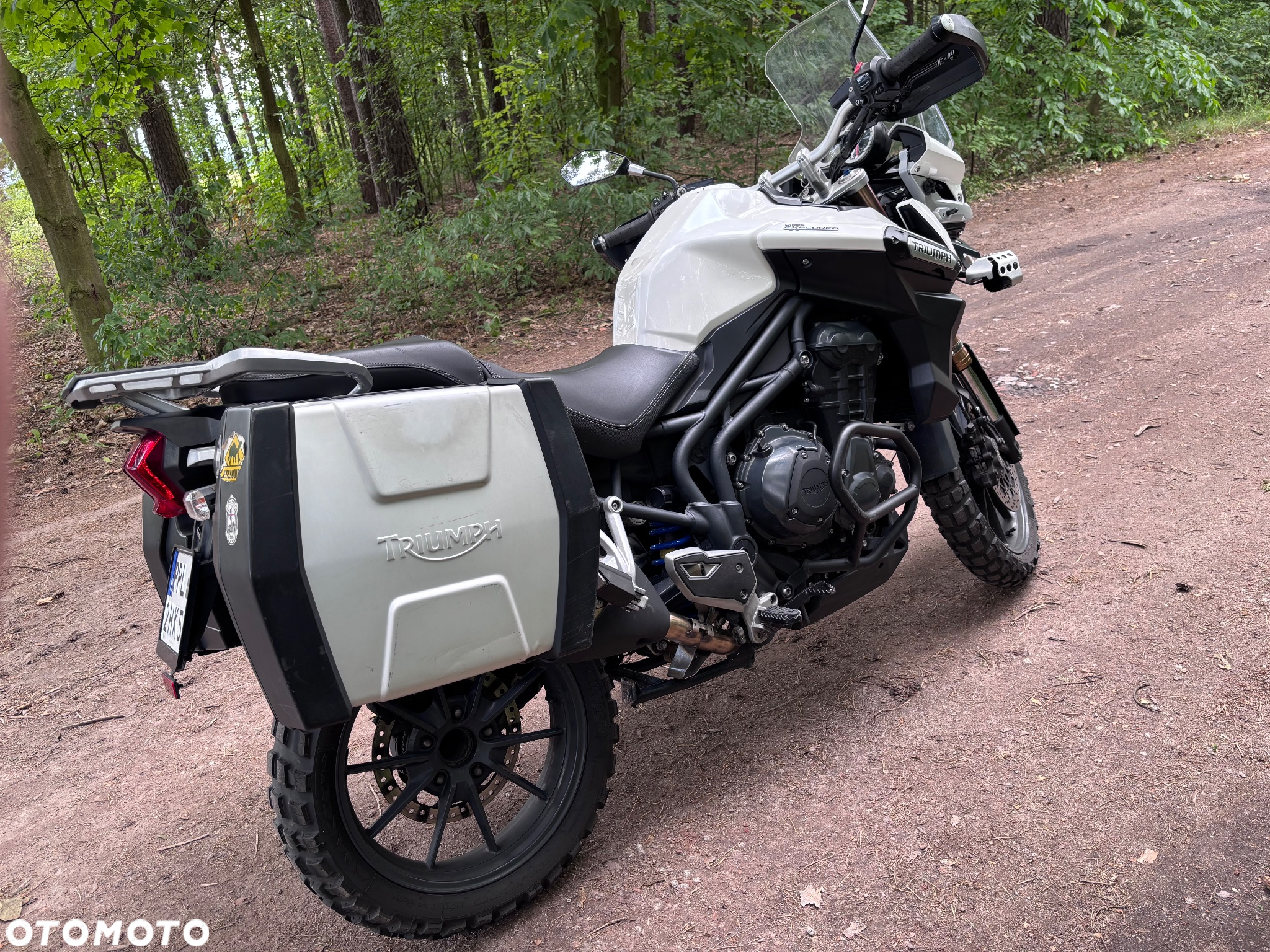 Triumph Tiger - 4
