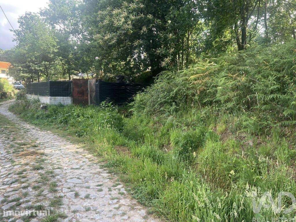 Terreno para construção em Carvalhais e Candal - Grande imagem: 2/6